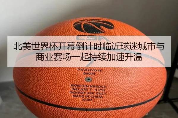 img_1781111993342_335_1_866.jpg
